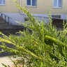 Частный пансионат Наши Традиции фото 4